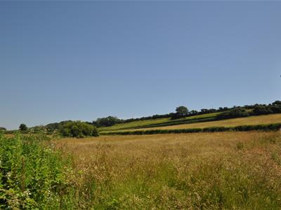 Picture 14